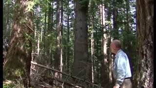 Ecoforestry and Value added industry on Vancouver Island abridged [upl. by Casteel]