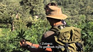 Strain Hunters Morocco Polish Subtitles [upl. by Adnerak]