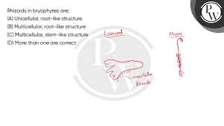 Rhizoids in bryophytes are [upl. by Ahsaele]