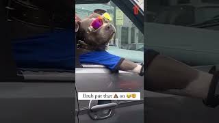 That aint a dog thats a dawg 😂 Song Blata ft Weez Gotti  Top Dog [upl. by Ycat]