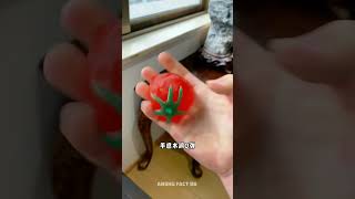 खेत में मिला 😆 mini wood toy woodworking art skill shorts ytshorts [upl. by Annaitat]