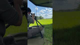 86BLK VS Cicadas Which do you think is louder precisionrifle sniper [upl. by Jemy557]