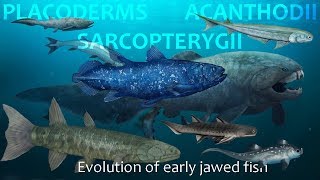 Evolution of Placoderms Acanthods and Sarcopterygii [upl. by Nanji]