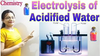 DG Pathshala Electrolysis of Acidified Water Electrolysis Topic for Class10 ICSECBSE Chemistry [upl. by Arlee912]