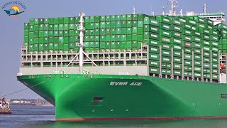 BIGGEST CONTAINER SHIP EVER ACE Maiden call at ROTTERDAM Port  Shipspotting September 2021 [upl. by Curren]