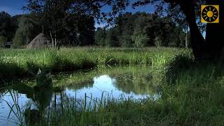 SPREEWALD  das quotknackig  grüne Spreeparadiesquot Teil 3 LübbenSchlepzigSpreewälder Gurken [upl. by Grous702]