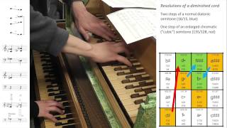 Caspar Johannes Walter 53tone diminished chord with 4 resolutions [upl. by Sesom507]