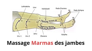 Comment effectuer un massage marmas des jambes et des pieds [upl. by Schoenburg907]