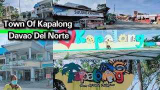 SMALL TOWN of KAPALONG DAVAO DEL NORTE  ATONG LAAGON [upl. by Arratoon995]