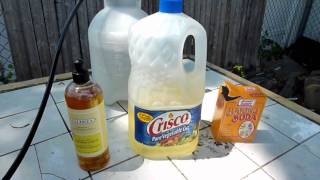 How to DIY Organic InsecticideFungicide recipe [upl. by Lounge]