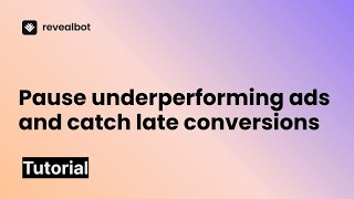 Pause underperforming ads and catch late conversions [upl. by Tomasine]