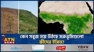 কেন সবুজ হয়ে উঠছে মরুভূমিগুলো কীসের ইঙ্গিত  Desert  Turning Green  CO2 Levels Rising  ATN News [upl. by Mannie]