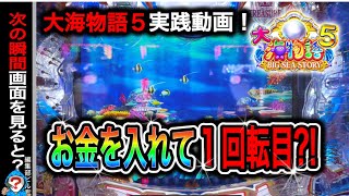 【P大海物語5】実践動画！この後すぐ⁈編集部ビル君実践動画2024071011） [upl. by Hayikat751]