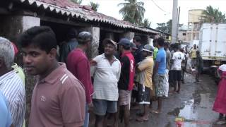 The World Famous Negombo Fish MarketSri Lanka [upl. by Atsirhc]