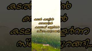 കടൽ കാറ്റിൻ നെഞ്ചിൽ 😍 Malayalam Song lyrics  Vipanchika Vibes shorts kadalkkattin songlyrics [upl. by Neirda]