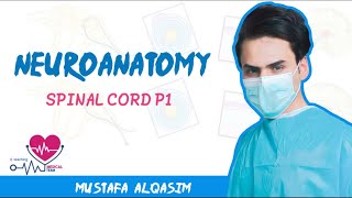 Neuroanatomy  Spinal cord  Part1 [upl. by Aydni]