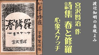 詩の読み方宮澤賢治「永訣の朝」『春と修羅』渡辺知明 [upl. by O'Neill]