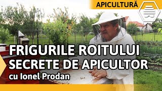 FRIGURILE ROITULUI SECRETE DE APICULTOR cu Ionel Prodan  Partea 2 [upl. by Enak]