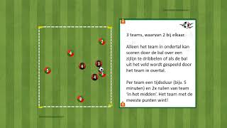 Zuidvogels video training positiespel 27 algemeen [upl. by Thorny]