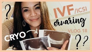 CRYO TERUGPLAATSING ZWANGER ★ IVF  ICSI ★ EZRYDAY VLOG 18 [upl. by Akemehc997]