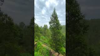 Things to do in Addis Ababa Entoto Park addisababa ethiopia travel [upl. by Orozco794]