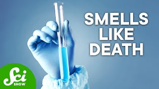 The 5 Most Dangerous Chemicals on Earth [upl. by Peggi96]