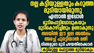 മുടി കൊഴിച്ചിൽ മാറാനും ഉള്ള മുടി കട്ടിയുള്ളതും കറുത്തതുമാവാൻ ഈ ഇല അരച്ച് തലയിൽ തേച്ചാൽ മതി [upl. by Noelopan]