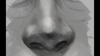 How to Draw Noses [upl. by Flavius]