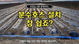 분수호스 설치 방법 분수호스 가격 종류 관수시설 감자 양파 마늘 고추 관수 하기 [upl. by Saltzman235]