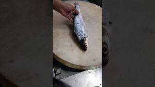 Giant Milk Fish Fast Cutting Skillsshorts [upl. by Dymphia95]