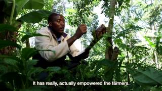 Fairtrades impact on farmers and workers  Fairtrade tea in East Africa [upl. by Follansbee]