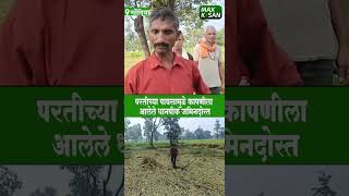 परतीच्या पावसामुळे कापणीला आलेले धानपीक जमिनदोस्त Max Kisan [upl. by Piotr]