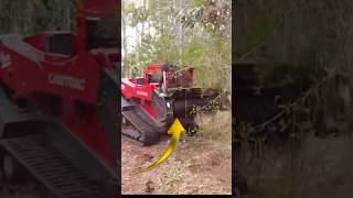 Insane Tree Destroying Machine 🌲😱 amazingtechnology [upl. by Nnyliak783]