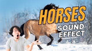 Horses  Neighing Sound Effect amp Relaxation  2 Minutes [upl. by Aimee106]