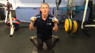 Kneeling Pallof Press with Hip Internal Rotation [upl. by Willett]