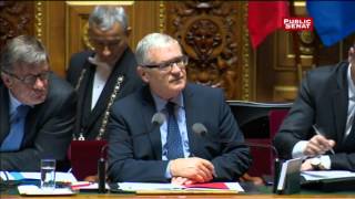 Texte sur le droit des étrangers  débat sur le regroupement familiale au Sénat [upl. by Inaluiak]