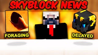 The Admins Did A Goog Thing  Hypixel Skyblock News [upl. by Elianore]