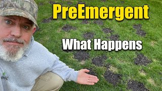 Spring Lawn Preemergent  What Happens and How it Works [upl. by Zaller]