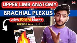 Upper Limb Anatomy  Brachial Plexus  MBBS 1st Year  Full Explanation With Exam Notes  MBBS World [upl. by Etterrag]