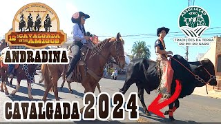 CAVALGADA CIDADE ANDRADINA 2024  SEGUNDA PARTE [upl. by Web57]