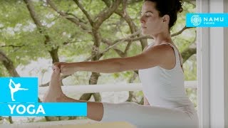 Aula de Yoga  Ashtanga Yoga para iniciantes  Heloísa Benichio [upl. by Zaneski184]