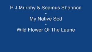 PJ Murrihy amp Seamus Shannon  Wild Flower Of The Laune [upl. by Aikemal]