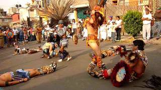 DANZA AZTECA  AGUILA BLANCA [upl. by Miller]