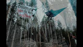 Nur zu Besuch im Altdorfer Wald  Teilrodung an einem Kieswerk bei Ravensburg  Oberschwaben [upl. by Erwin]