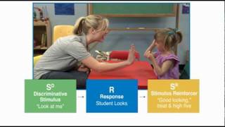 Discrete Trial Teaching  Autism Therapy Video [upl. by Arlinda]