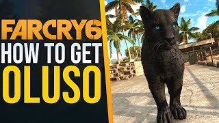 How to get the BEST AMIGO Oluso in Far Cry 6 [upl. by Rosemare]