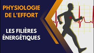 EPS  physiologie de leffort  les filières énergétiques [upl. by Eessac]