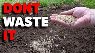 10 STUPID mistakes to AVOID overseeding your lawn [upl. by Maitilde515]