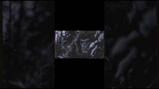 Best Bigfoot footage yeti bigfoot nightmare beast scary terrors aiain’t t [upl. by Kataway719]