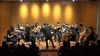 20200726 大協奏曲 帕拉迪奧 給弦樂團 第一樂章 Karl Jenkins Concerto Grosso “Palladio” for String Orchestra mov I [upl. by Chen]